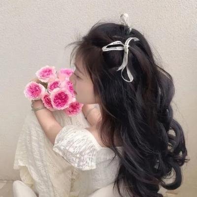 著魔的丽莎